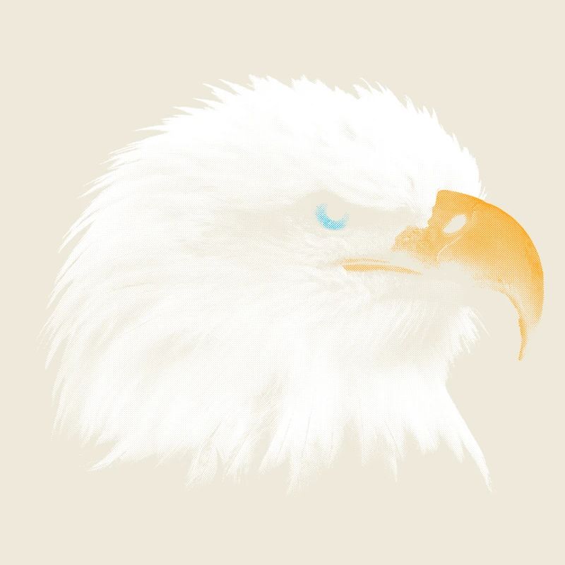 Weißkopfseeadler
