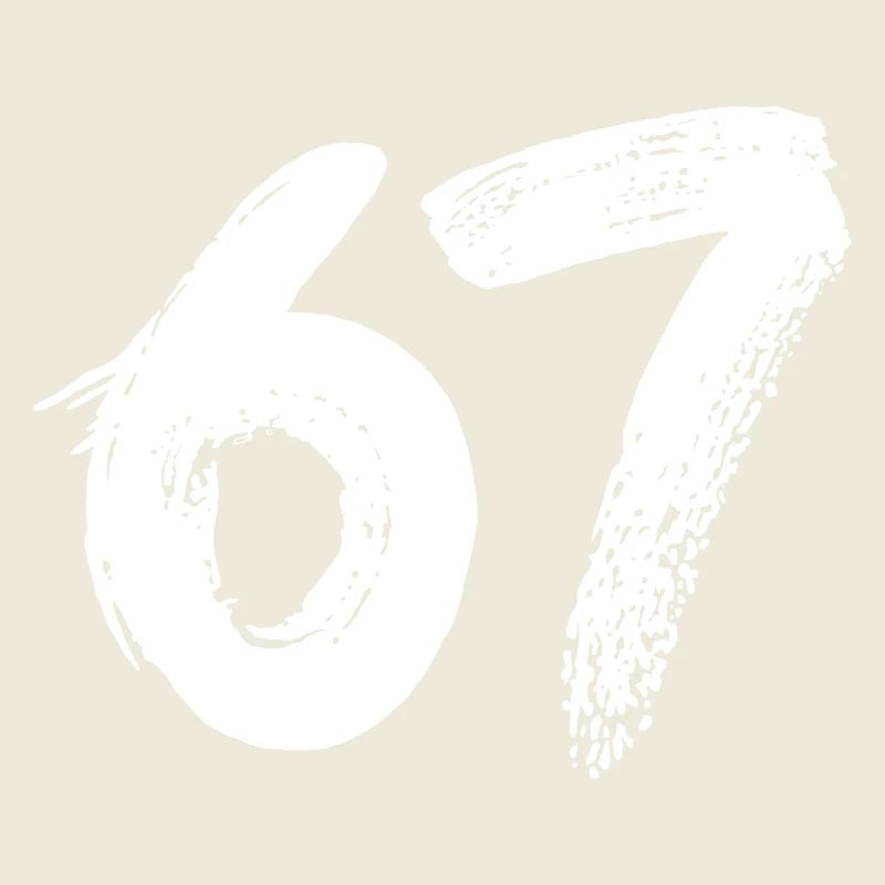 67 White Paint