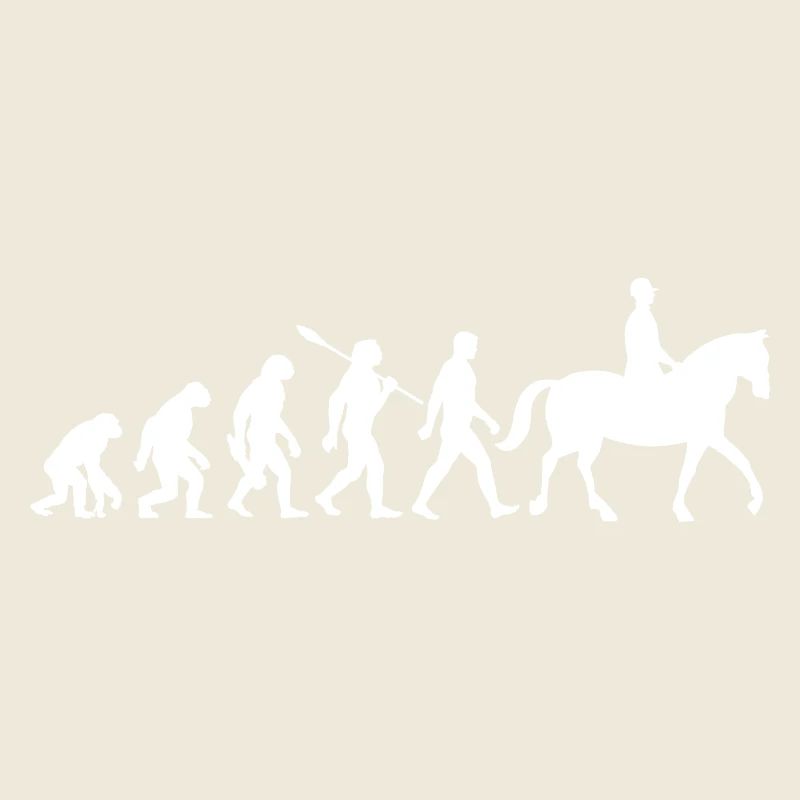 Evolution Riding - Chevaux - Dressage