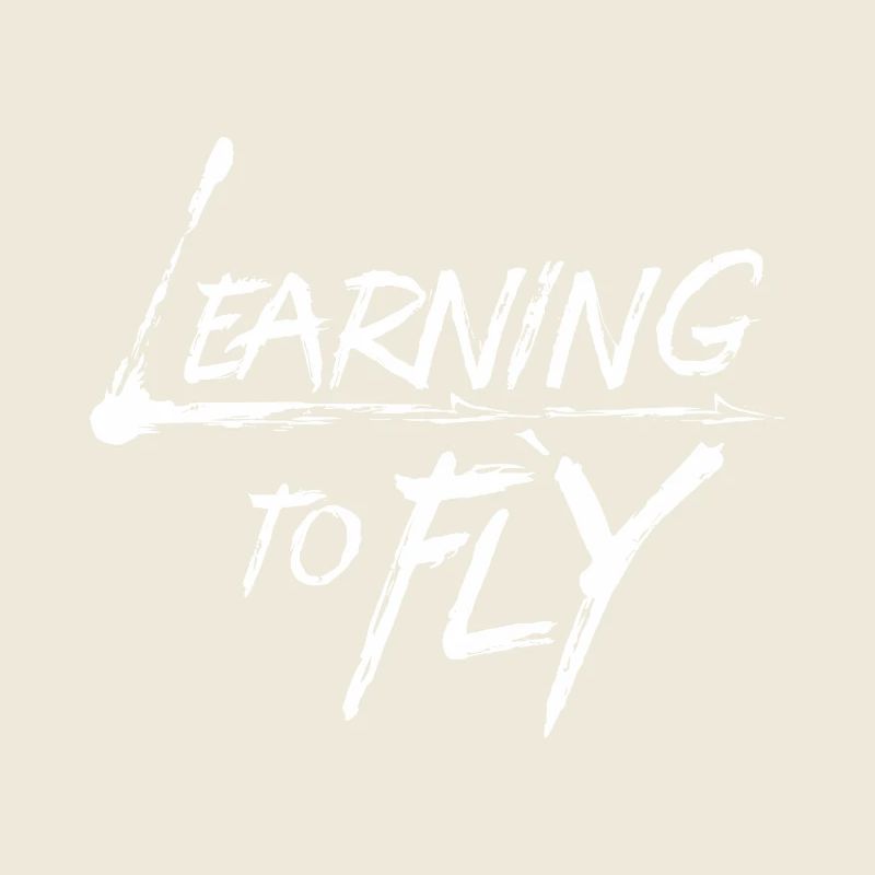 Learning to fly Flying Airplane Pilot Flyer