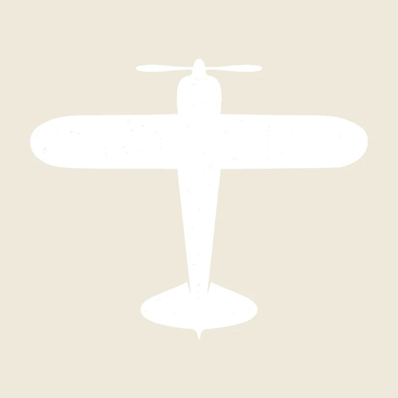 Airplane Propeller Plane Flying