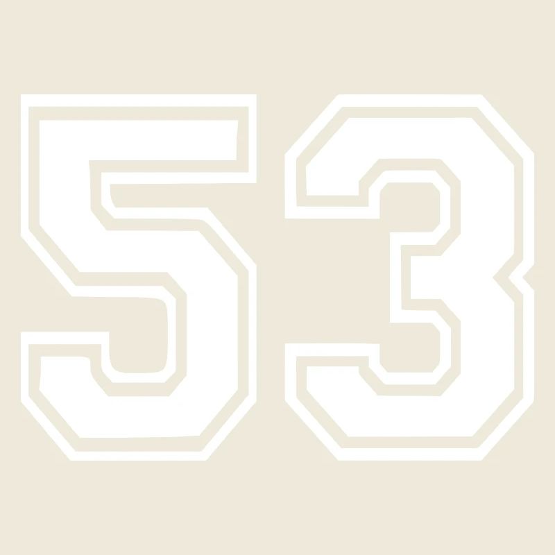 53