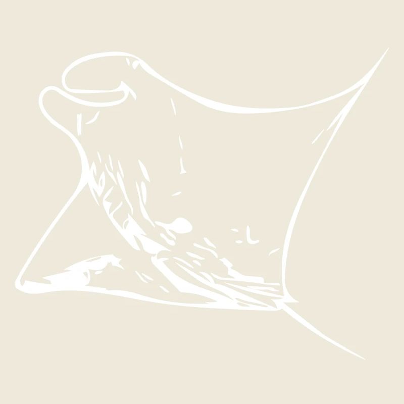 Manta Ray
