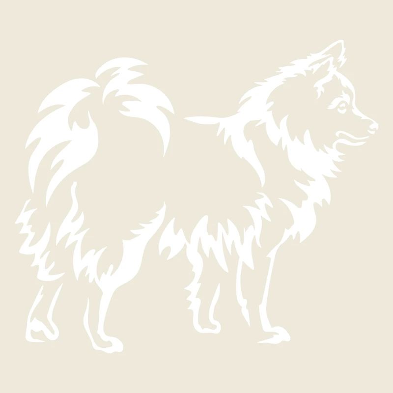 Spitz "Black Edition"