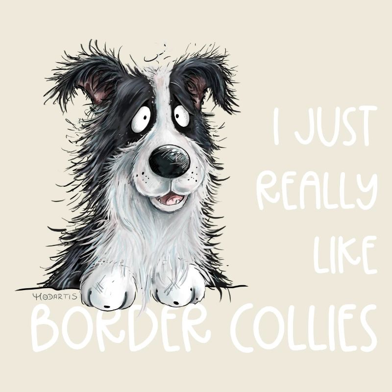 Droll border collie chien dicton
