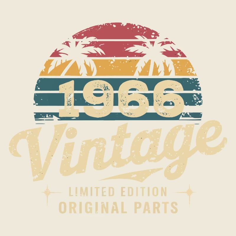 Großartig seit 1966 1966 Geburtstagsgeschenk