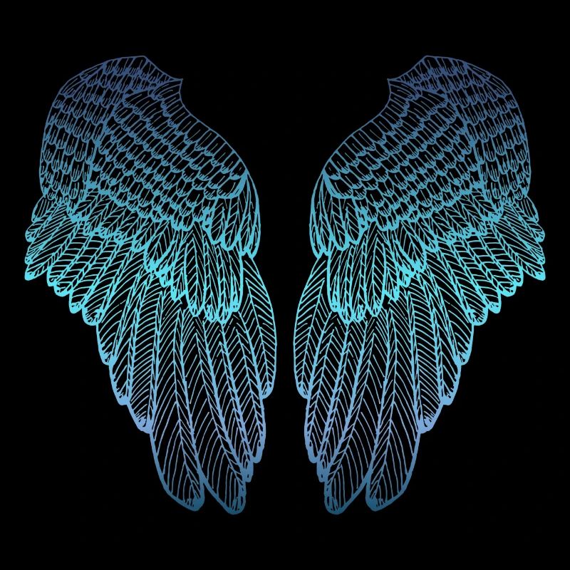 Ailes d'ange aux tons bleues