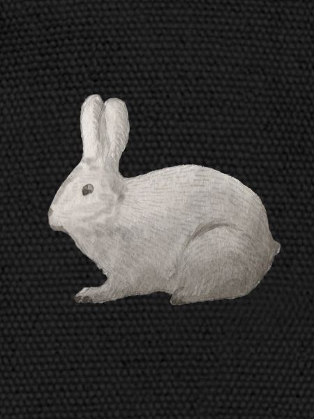 Hare