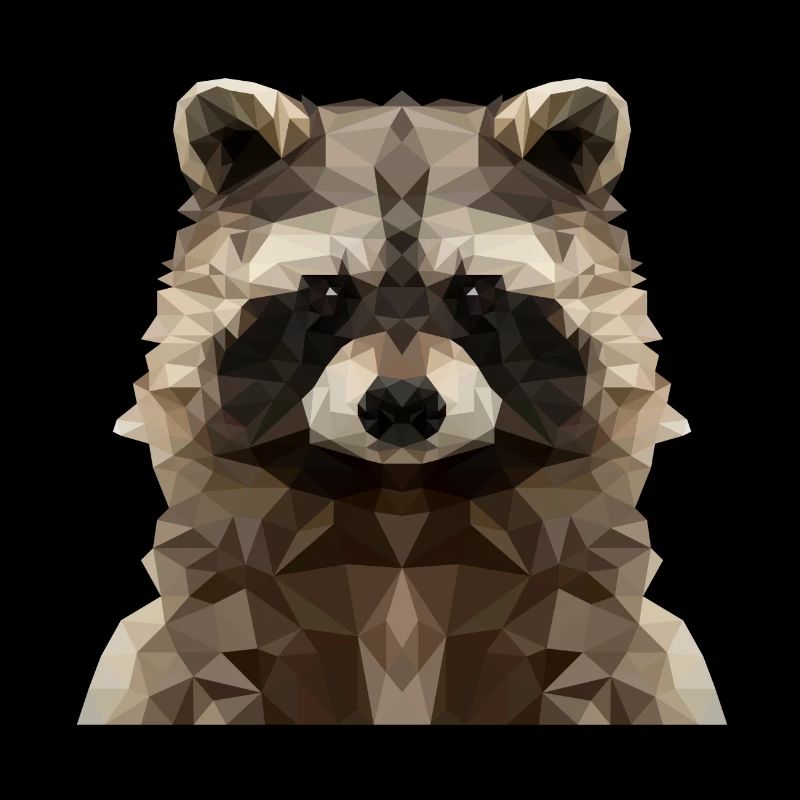 Geometrischer Waschbär - Modernes Low Poly Design