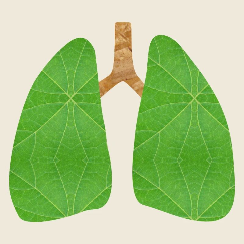 Green lung