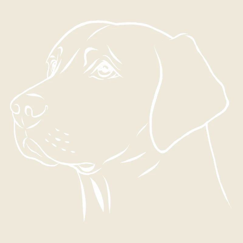 Labrador Retriever Portrait
