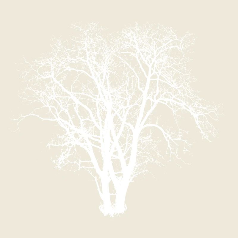 Baum Silhuette