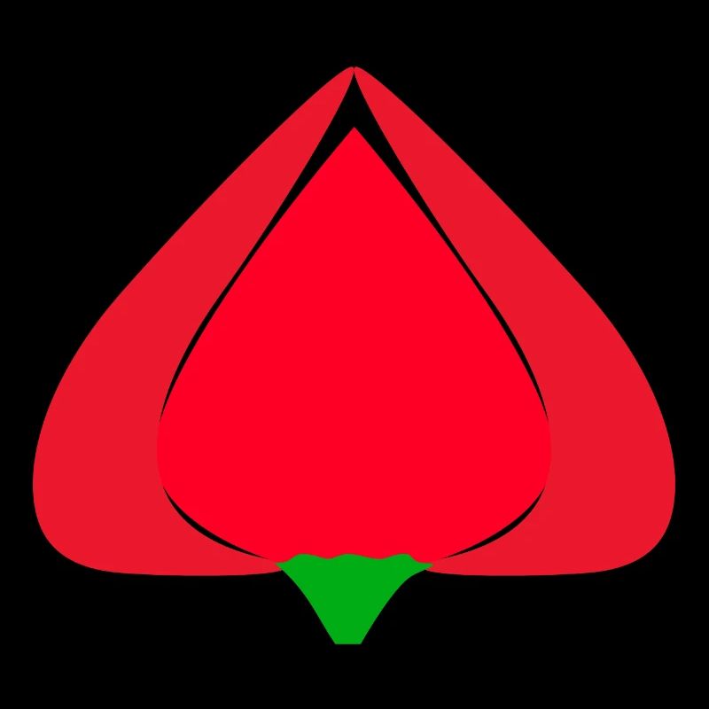 Tulipe