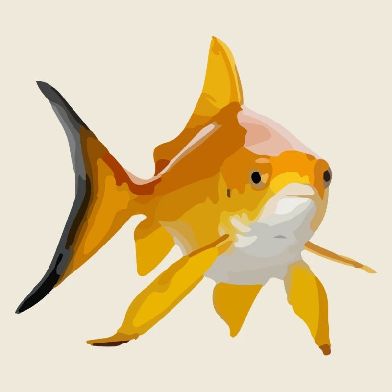 Le poisson rouge