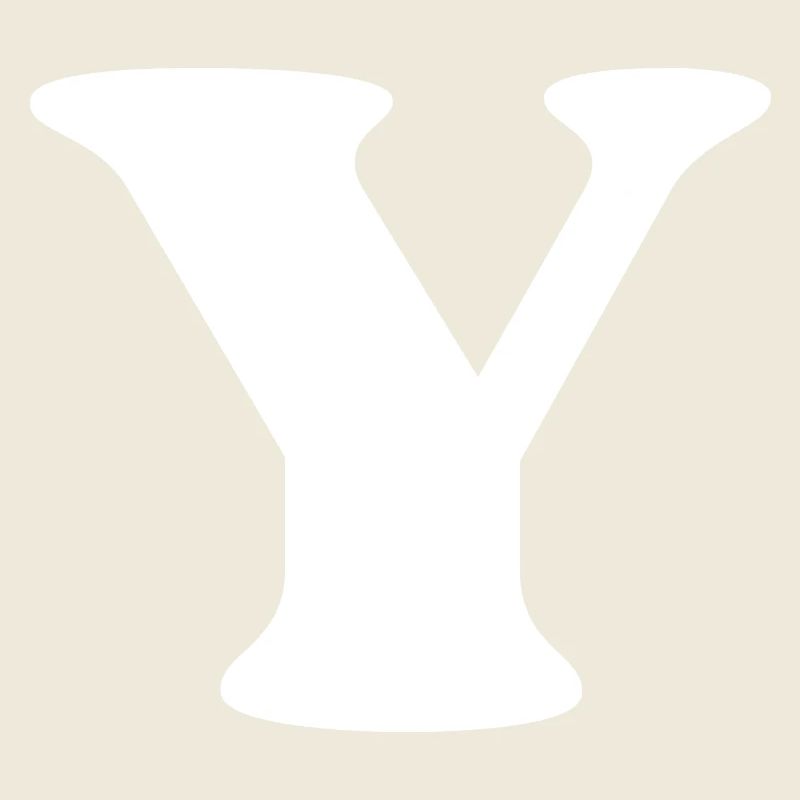 Lettre y