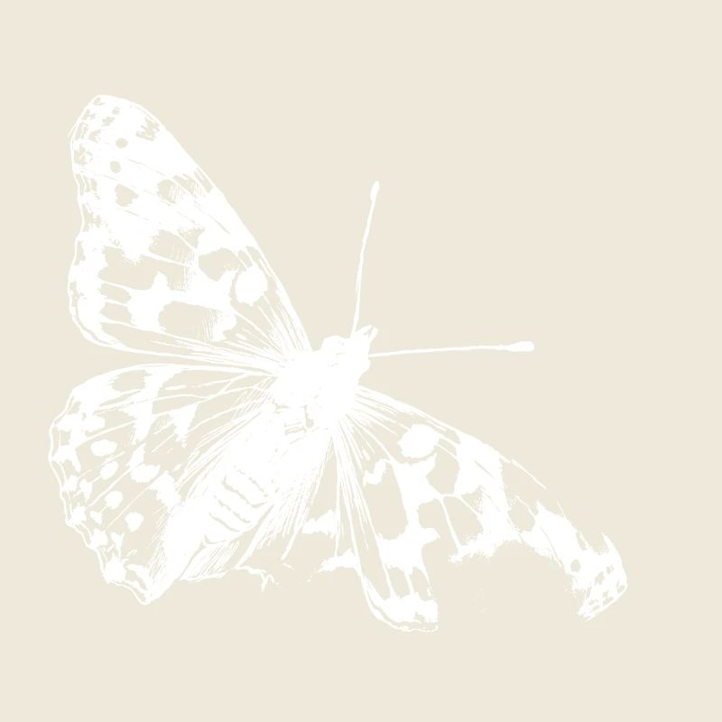 La beauté rare du papillon chardon