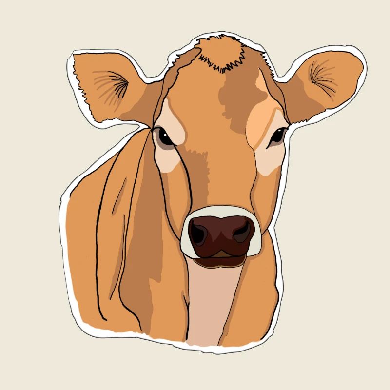 Kuh Kühe