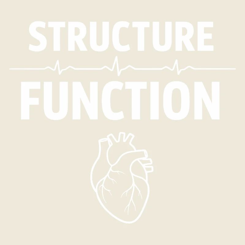 Herzultraschalltechniker Echo-techniker
