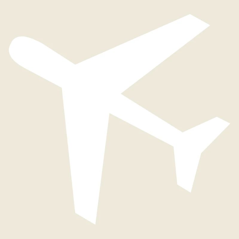 Icon airplane