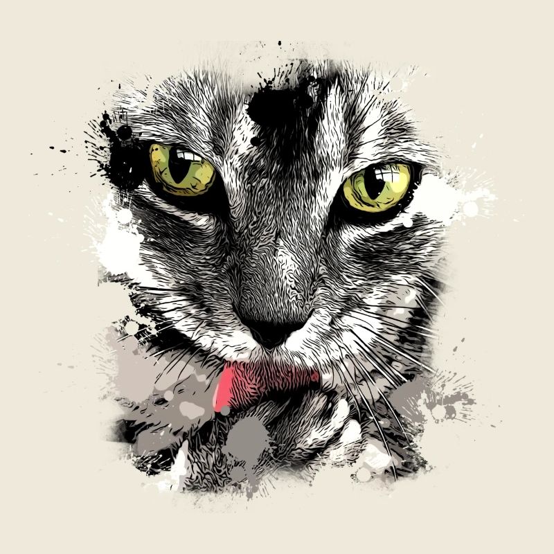Chemise Cool Cats