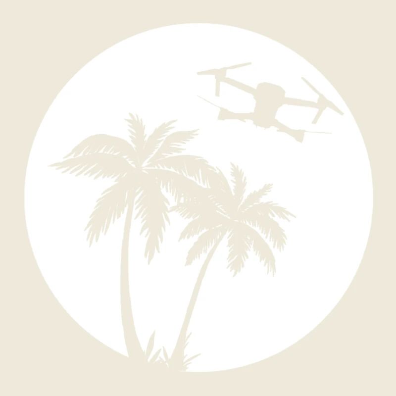 DJI MAVIC PRO DRONE Palmier Soleil