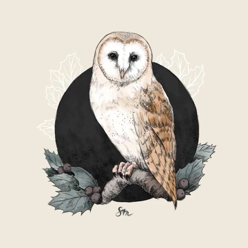Barn owl before new moon