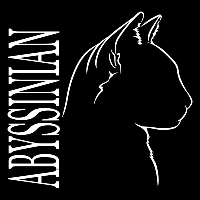 Abyssinian Profil Katzen Katze Wilsigns