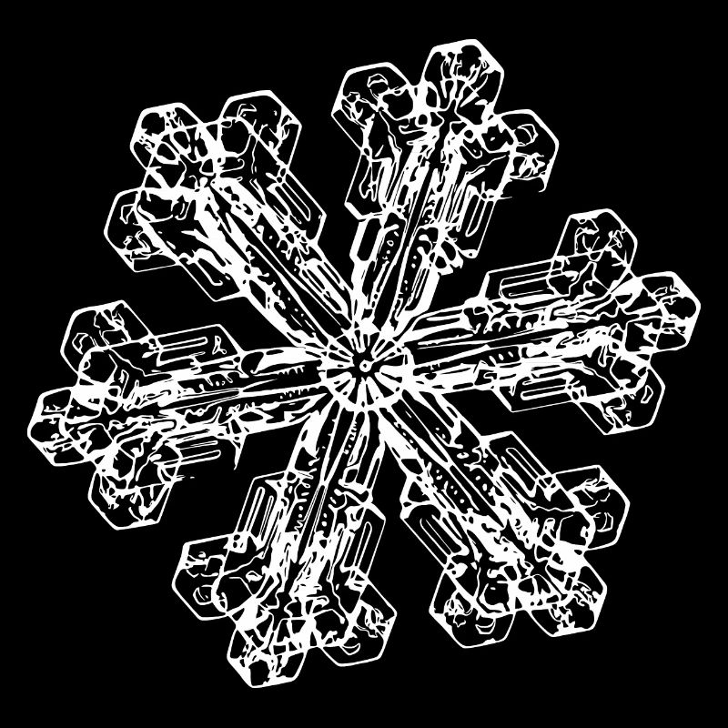 snowflake 3 white