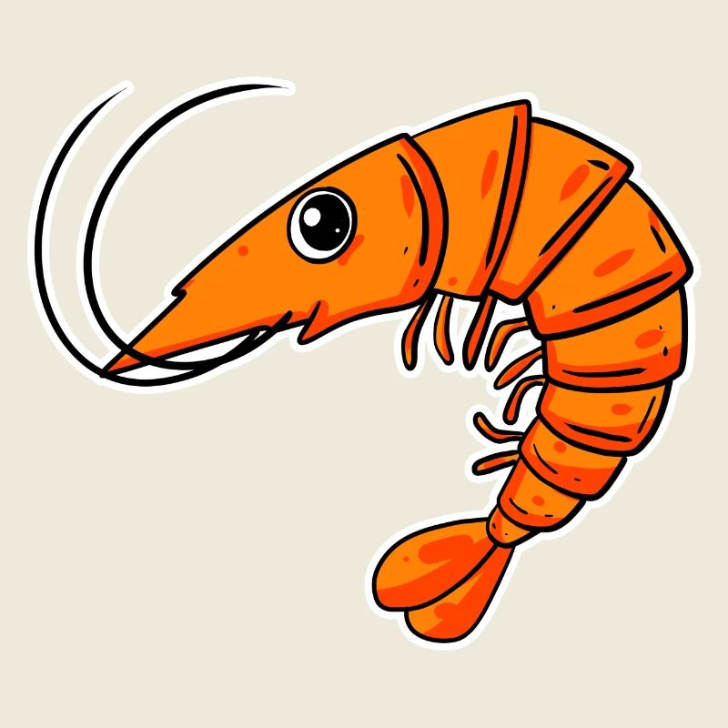 Shrimp Shrimp