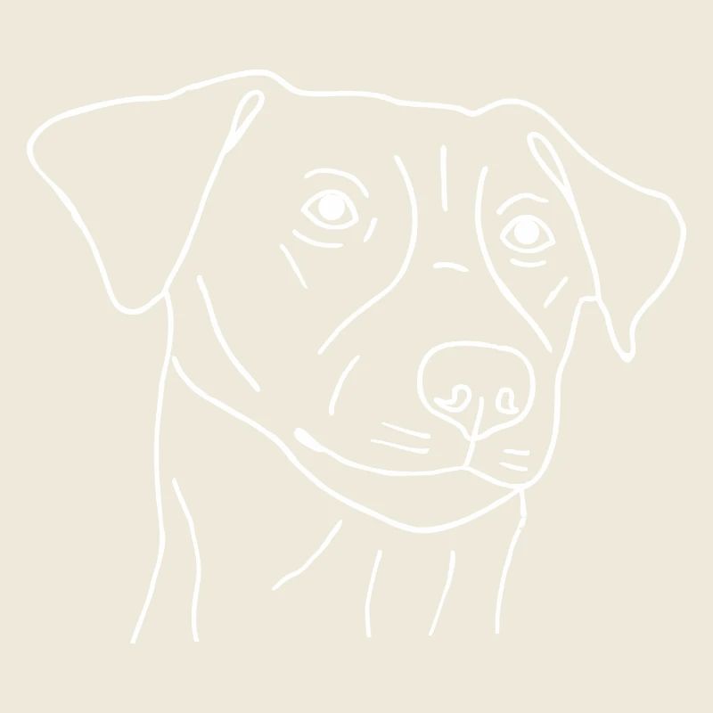 Jack Russell Terrier