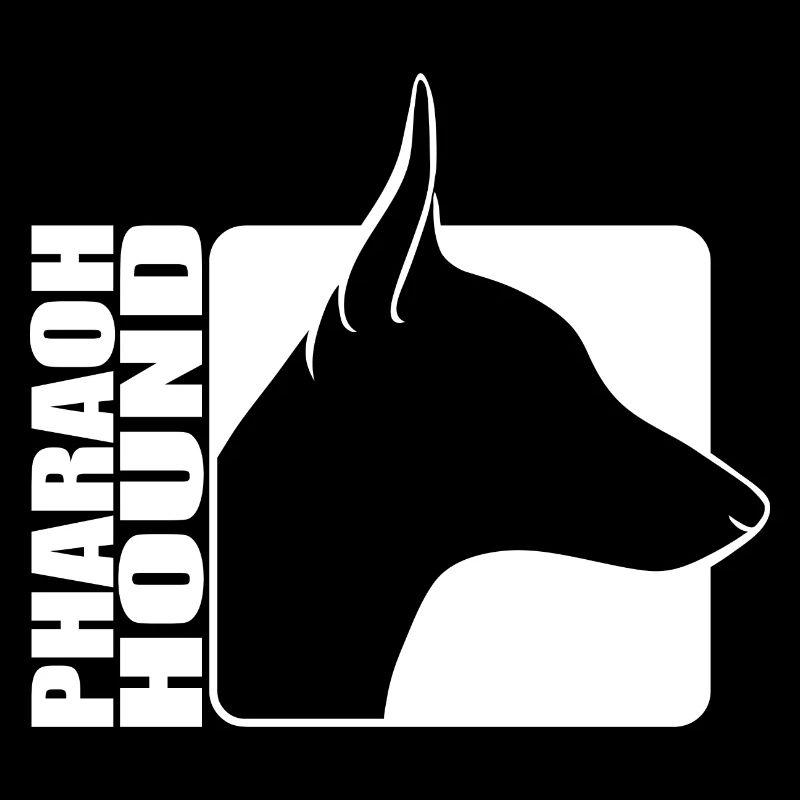 Pharaoh Hound Profil Windhund Hunde Wilsigns