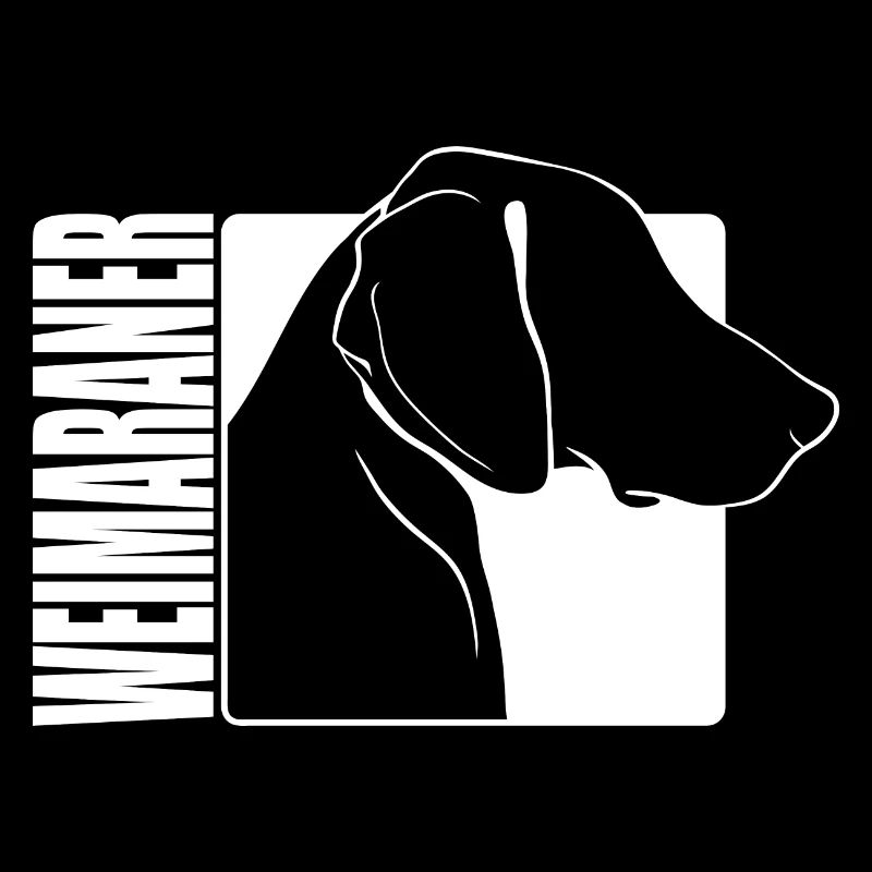 Weimaraner Profil Chiens Chiens de chasse Wilsigns