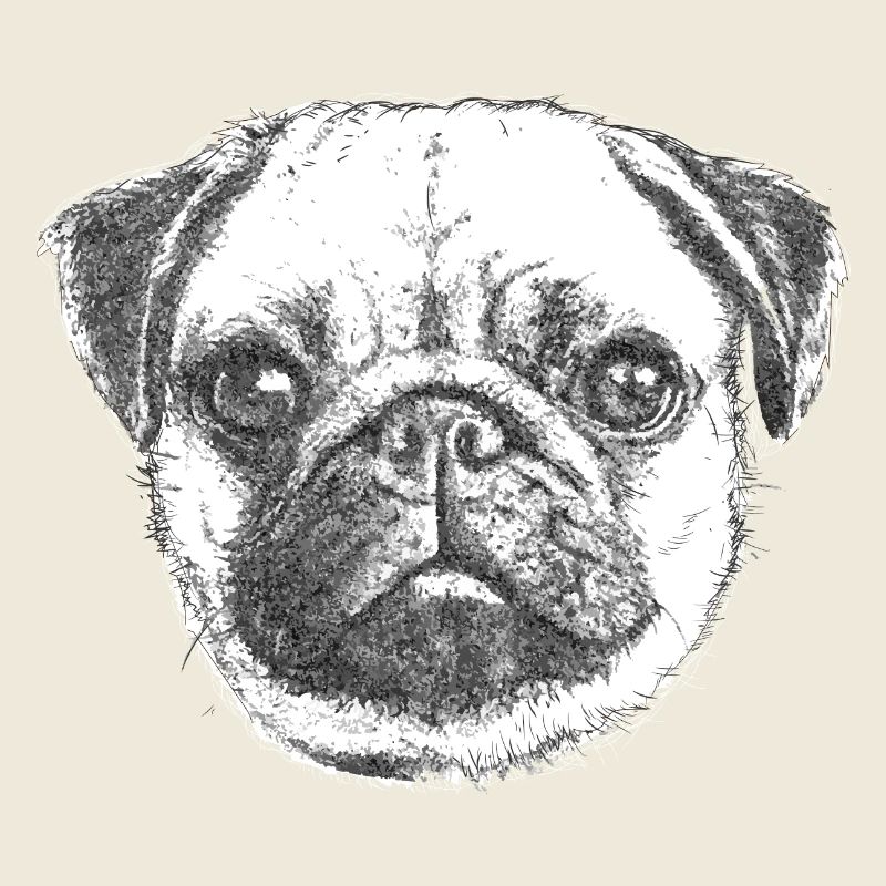 PUG | MOPS - DRAWN