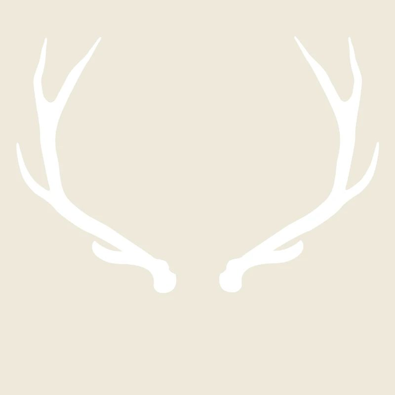 Deer - deer antler