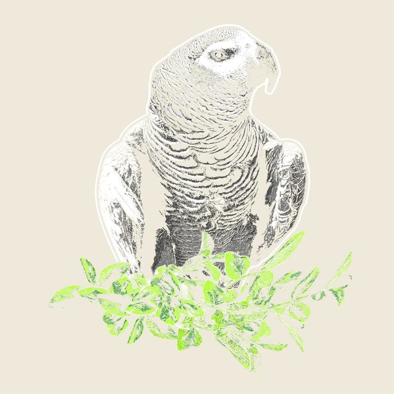 Graupapagei