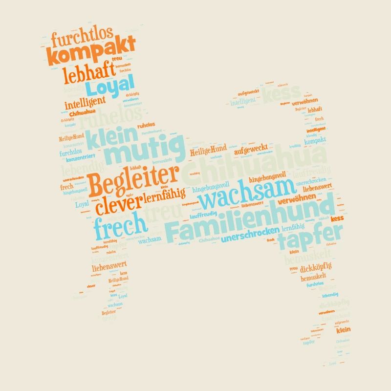 Chihuahua Wordcloud Characteristics