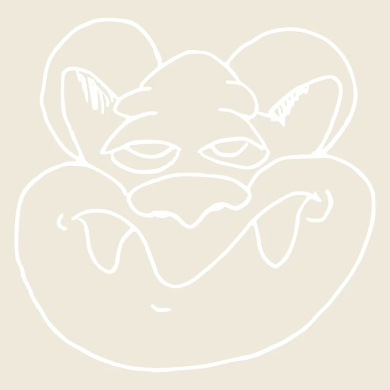 Funny rat face