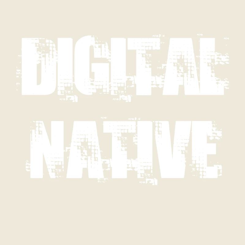 NATIVE NUMÉRIQUE