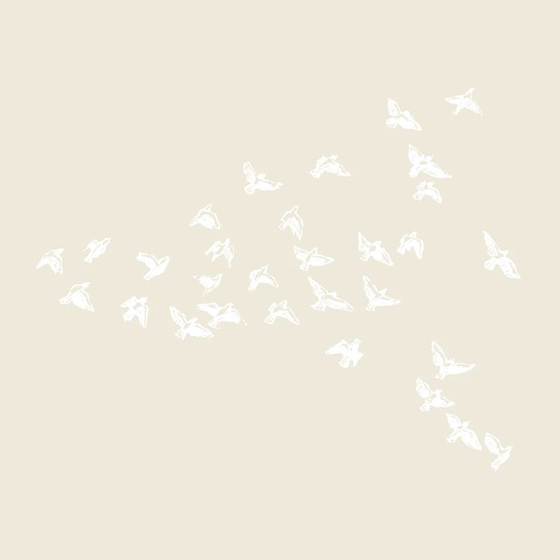 oiseaux