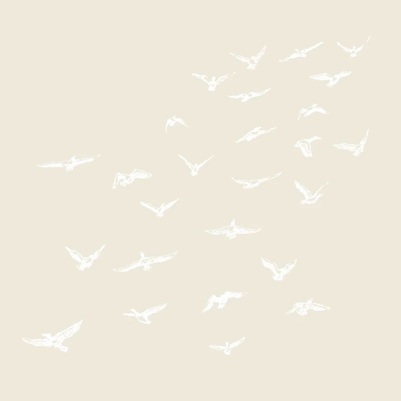 flock Of birds