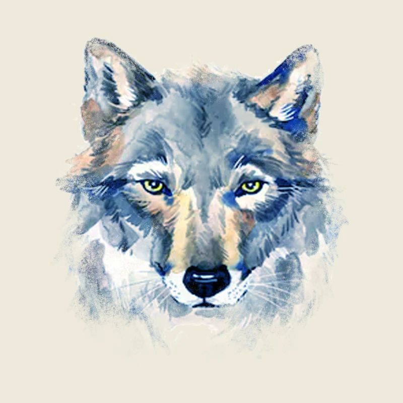Art Wolf