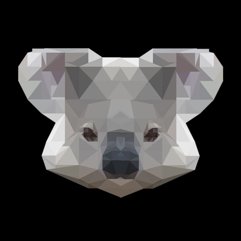 Mr Koala