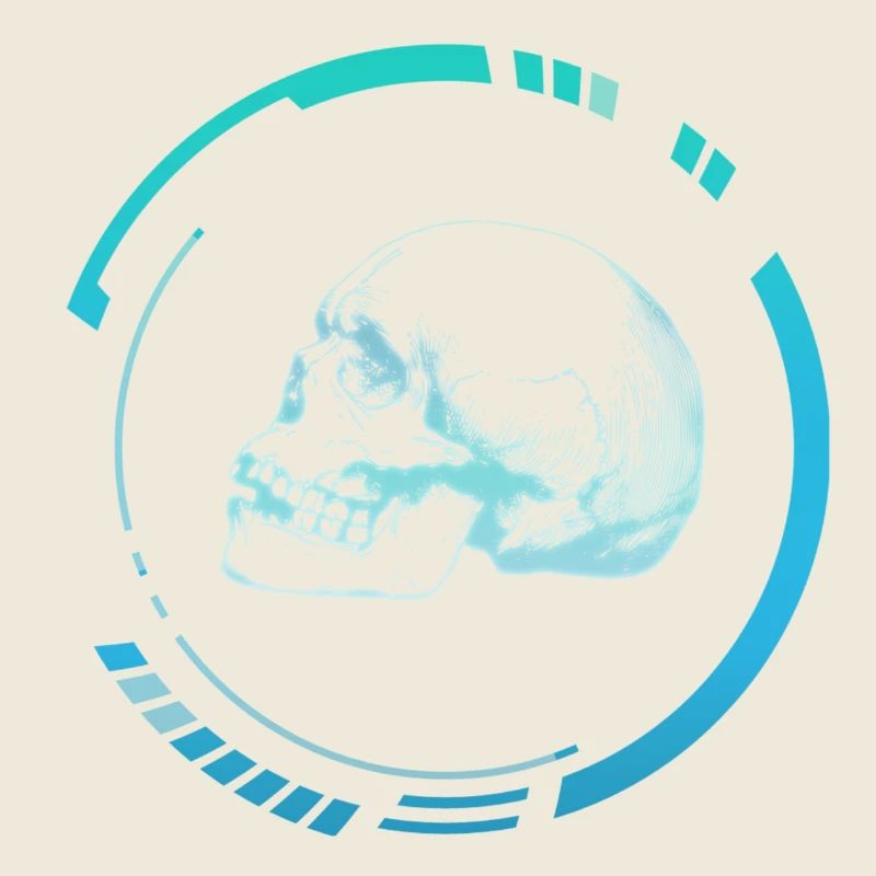 Human head X-ray image