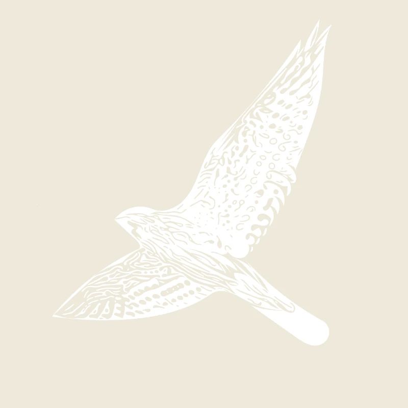 faucon