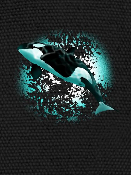 orca