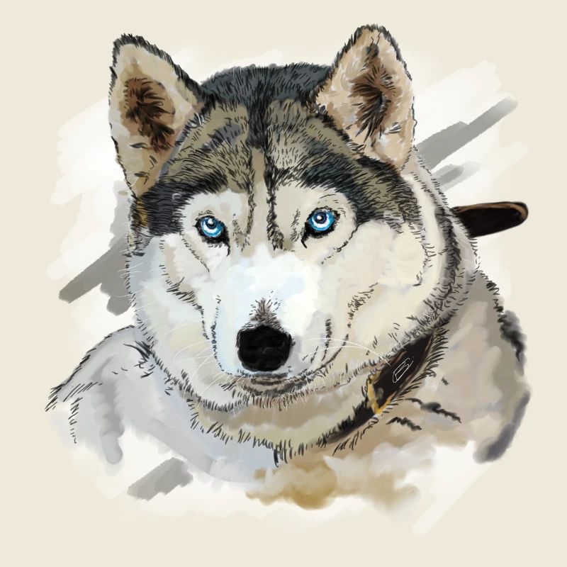Husky