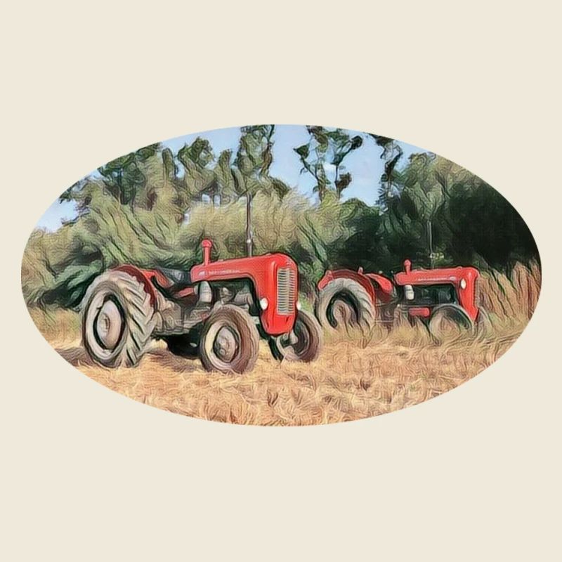Tracteurs rouges sur le terrain