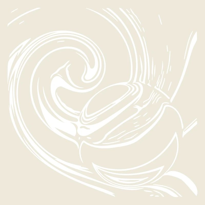 boule de vertèbre unique &insolite