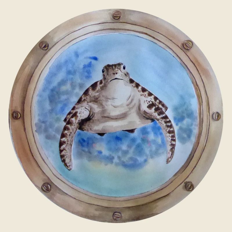 porthole turtle