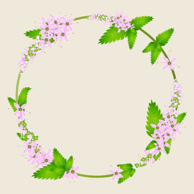 fresh mint leaves and mint flowers as a frame